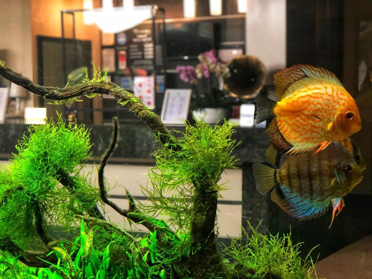 特卡德拉酒店 皮帕若 外观 照片